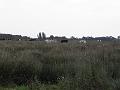P9170501