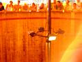 DSC01093