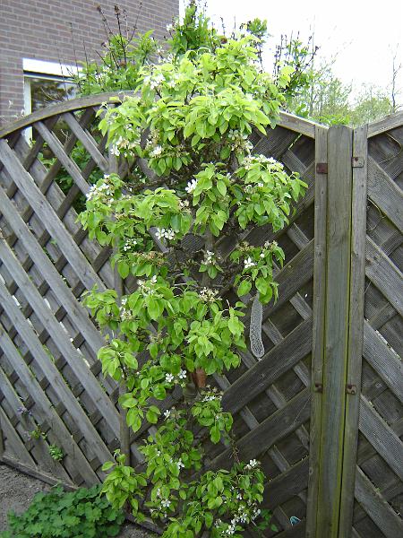 DSC01054.JPG