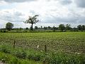DSC01057