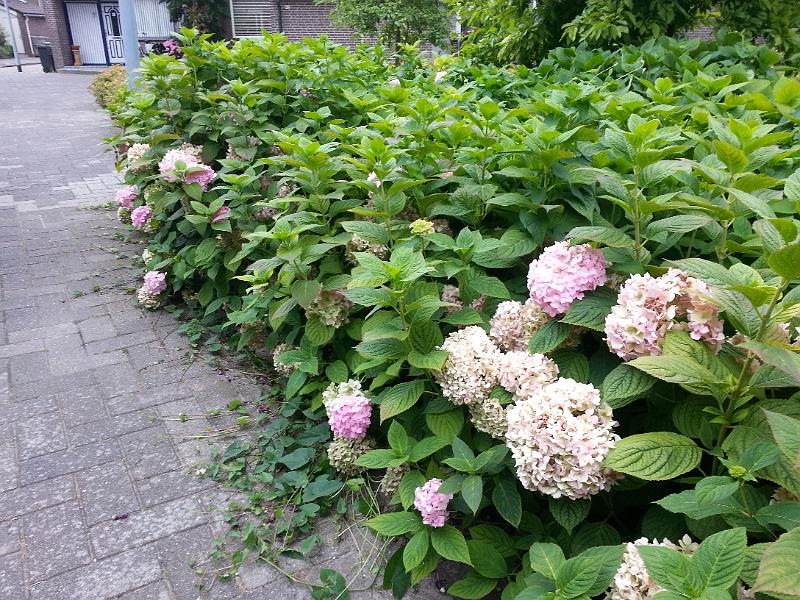 20160725_101941_4.jpg - ø;    K       É  þ  n   xV4xV4xV4xV4       \   è     ÿÿ°ð;                              ýý                                                                                                                                                                                                                  C A L ZDFE02    Cur.ZDFI02CML 018001001509FD0901090109010D010D010D090Dï $ ë&      T U N A   ÐÉ     CÐ ¨ ETÿÿ  CÓÿÿJ §âÿÿ~  fSÿÿ   FLFL SVN#                                                                                                                   ®    ÐÉ  Yßÿ                        =Ú5                                                    N  ^                «ßÿ  8                                                                                                                                                                                                                                                               JKJKú   Þs  s  Â    B
     É              Ð    Ê     CÐ ¨ ETÿÿ  CÓÿÿJ §âÿÿ~  fSÿÿ JKJK2D "w "D A" "w "w "w 2w 1" 1" @! A" @!  ` p   2w "w 2w 1" "w "w "w "w 1" 1" 1" 1" @!   ` "w "w "w  1" "w "w  2w "w 1" 1" 0    2w "w 2w 2D ` P3 "w 2w "w 1" "w !" @! @!   "w 2w 2w 2D p   ` 2w "w `  !" 1" @!    2w 2w 2w "w ` ` Q3 2w 1" ` "w 1" @! @!   2D 2w 2D Q3 2w P3 ` 2D "w "w "w 1" 1" @! @!  2D 2D ` p   1" ` A" 2w "w 2w "w "w !" @! @!  2D 2D ` p     "w "D "D 2w "w 2w "w ` 0  2D "w "w "w ` A" "w "D "D 2w "D "w "w 1" @!  2D 2D 2D 2w "w "w "w 2w 2w 2w 2D 2w "w p   0  "D 2D "D "w "w "w "w "w 2D 2D 2D 2D p   1"   2D 2D 2D "D "w "D 2D "D "D "D "D 2w 2w 2D   2D 2D "D "D "D "D "D "D 2D "w "w 2D 2w 2D @!  2w "w "w "w "w "w "D 2D "D "D 2D 2D 2D     2w 2w 2w "w 2w 2w 2D 2w 2w 1" 1"  !" "    JKJK+ ïÿ  )¦ æ   )à |â   Qå ×9   Ý'                         `û    A¯ 3Ö üÿ  §×                            Ë í   ´Ê í   ´Ê í   ´Ê                                                                                                                                                                                                                                                                                           ýAFAF] EÌ]& °qA A$ V% Ò% \ Õ (é  é ?­%    %    A A# ºO] ¿]' Py ä(y e    e    ^ Çk^' YW ?W& GÃP ,qP& `ËI I' D7K    K    K    K    K    K    K    K    K    K    K    K          AFAF 7ZD I  AFAFä                                                                                                                                                                                                                                                                                                                                       Þ°ô             X ¤x R¼ )Þ )Þ s s \&ºÆ³  6nq  q                                                                                                                                                                                                                                                                                                                                                                                                                                                                                                                                                                                                                                                                                                                                                                                                          s  u  w  y  ÎFßWðÞ¼ºÖ% 4 :©  @ÿk?