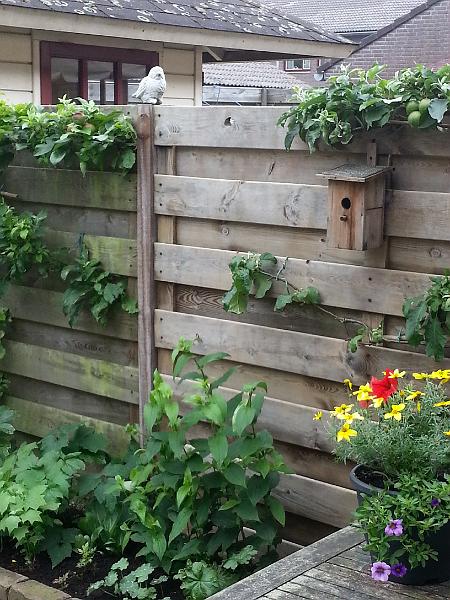 20170628_124732.jpg - ø;   K       h    S  xV4xV4xV4xV4     0 ` z¹ è      ÿÿ:¨0                              ýý                                                                                                                                                                                                                  C A L ZDFE02    Cur.ZDFI02CML 018001001509FD0901090109010D010D010D090Dï $ ë&      T U N A   Ðh 88ô    ¼Í p BTÿÿN  ÓÿÿùH hãÿÿï  ÛTÿÿ6   FLFL SVN#                                                                                                                   ®    Ðh 888í Zßÿ      b         6/                                 '     '  æ    T  Z   h îæ   2ïÿ  8     ?                                                                                                                                                                                                                                                        JKJKú   Þs  s  Â    B
         á         óô    zÎ ô    ¼Í p BTÿÿN  ÓÿÿùH hãÿÿï  ÛTÿÿ6 JKJKp   `   "w !" `   `   `   A" "w 2w Bw 2w "w "w "w  p   P3 "w 1" `   `   `   `   1" A" R   2w "w "w   p   P3 2w !" P3 `   `   `   Q3 Q3  2w "w "w "w   p   P3 "w !" P3 p   `   P3 Q3 A" b   R   2w A" 1" A" p   `   !" "w P3 `   `   P3 A" P3 `   Q3 P3 Q3 A" A" `   `   1" !" P3 P3 `   Q3 1" P3 P3 P3 A" Q3 A" 1" P3 `   P3 @" P3 P3 Q3 1" A" P3 A" 1" "w "w "w 1" P3 `   @" P3 `   P3 P3 2w 1" P3 1" "w "w "w "w !" P3 `   @" P3 P3 P3 P3 P3 Q3 A" 2w "w "w "w "w "w `   `   P3 P3 P3 P3 P3 P3 P3 2w 2w 2w "w "w "w "w P3 `   @" P3 `   P3 `   `   `   Q3 2w "w "w "w "w "w P3 `   P3 2w 1" Q3 Q3 A" A" Q3 A" 2w "w "w "w "w P3 `    "w 2w Bw 1" 2w "w A" 2w 1" "w "w "w "w P3 p   1" 2w 2w A" 1" "w 2w A" A" 2w "w "w "w 1" P3 p   `   "w "w 1" 2w 2w A" A" A" 2w "w "w "w  P3 `   A" "w 1" 2w "w 2w 1" A" A" 2w "w "w "w Q3 JKJKÍ    +µ Ë   è bì   ÆÑ                                     ;ò    ¨± Ý úÿ  Æ¨                         Åô èÿ  _Î Äô èÿ  OÎ Äô èÿ  OÎ Äô èÿ  OÎ                                                                                                                                                                                                                                                                                           ýAFAF        p Ñp zT F·T ¶*8 î58 öÕG    G    N ªN ãU [KU ø\ n'\ ¦Õ@ êö@ ¦*@ è@ Ç[    [    T    T    M    M    ?    ?    ?    ?    ?    ?    ?    ?    ?    ?    ?    ?    ?    ?          AFAF  7ZD0 @lAFAFä                                                                                                                                                                                                                                                                                                                                       Þ°ô             8 ¤x R¼ )Þ )Þ s s \&ºÆ³  6nL  L                                                                                                                                                                                                                                                                                                                                                                                                                                                                                                                                                                                                                                                                                                                                                                                                          N  P  R  T  ÎFßWðÞ¼-" 4 7  @ÿk?