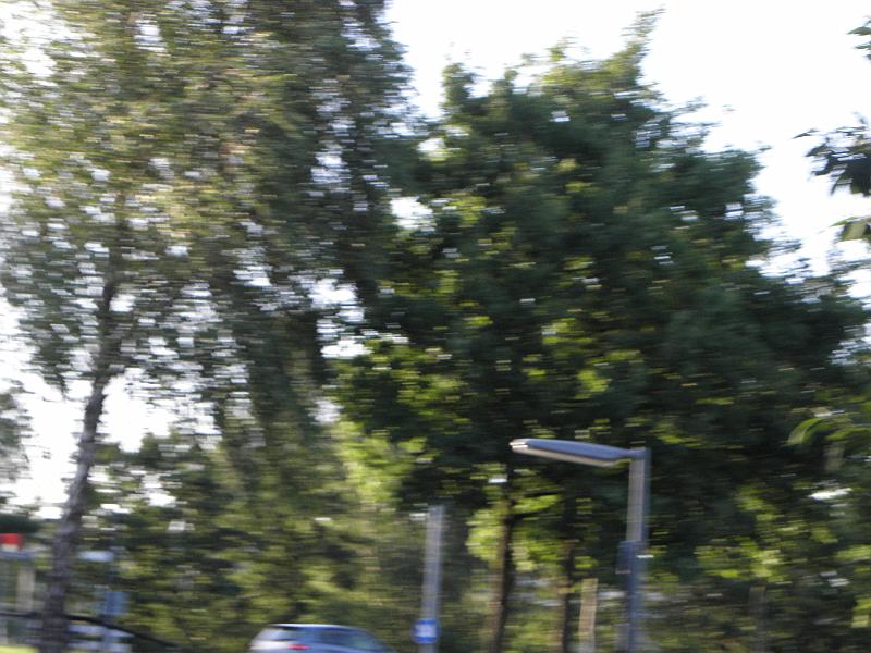 P6230545.JPG
