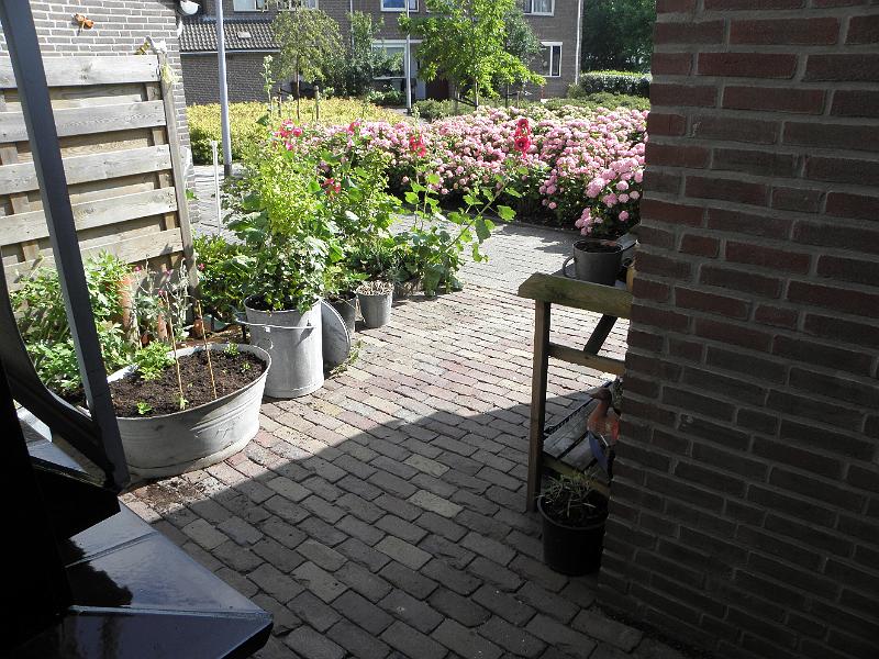 P6260609.JPG