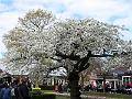 20160412_115438