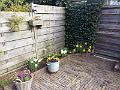 20160419_095224