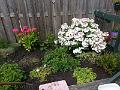 20160707_115416_1