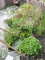20160707_115437_1