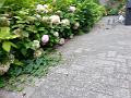 20160725_101920