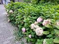 20160725_101940_2