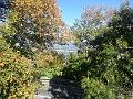 20161009_155343(0)