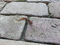 20161023_160411