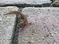 20161023_160423