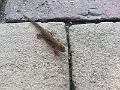 20161023_160452