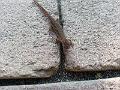 20161023_160456