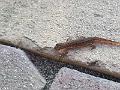 20161023_160534
