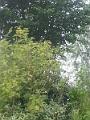 20170707_111354