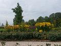 20170815_090851