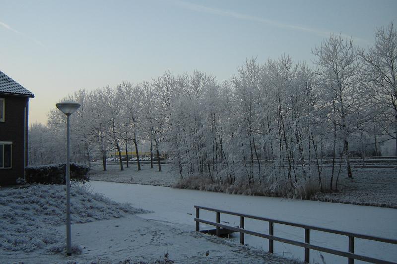 DSC03589.JPG