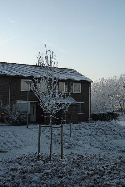 DSC03590.JPG