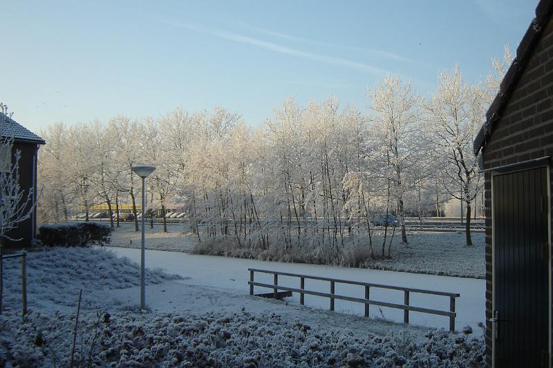 DSC03593.JPG