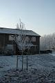 DSC03590