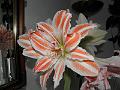 P2190003