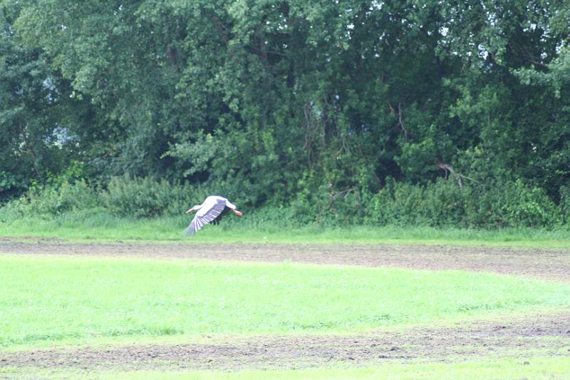 IMG_6359.JPG