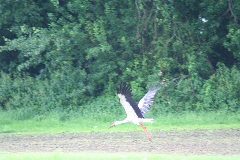 IMG_6364.JPG