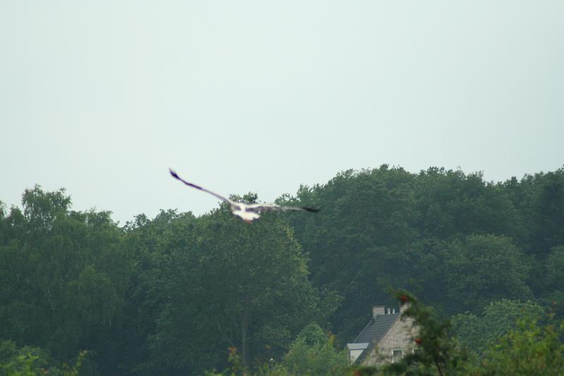 IMG_6370.JPG