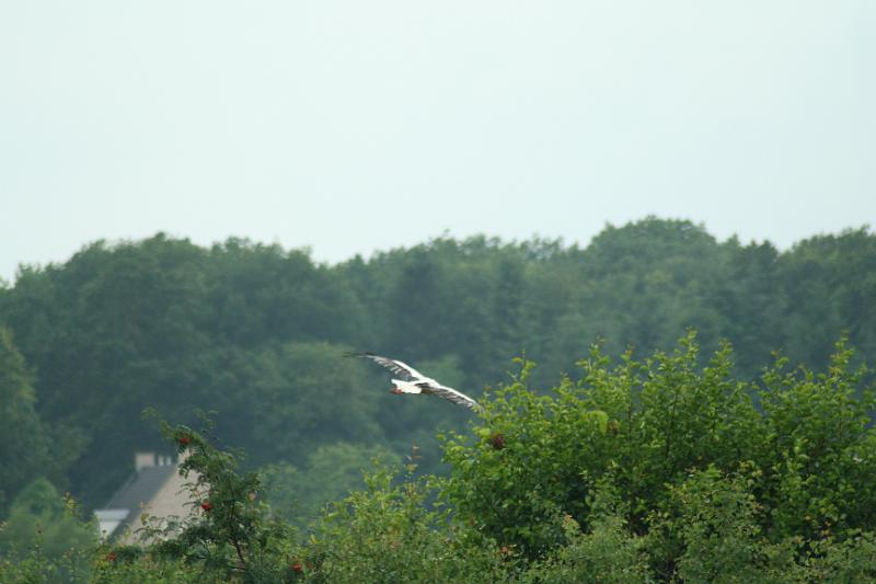 IMG_6372.JPG