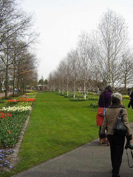 DSC00922.JPG
