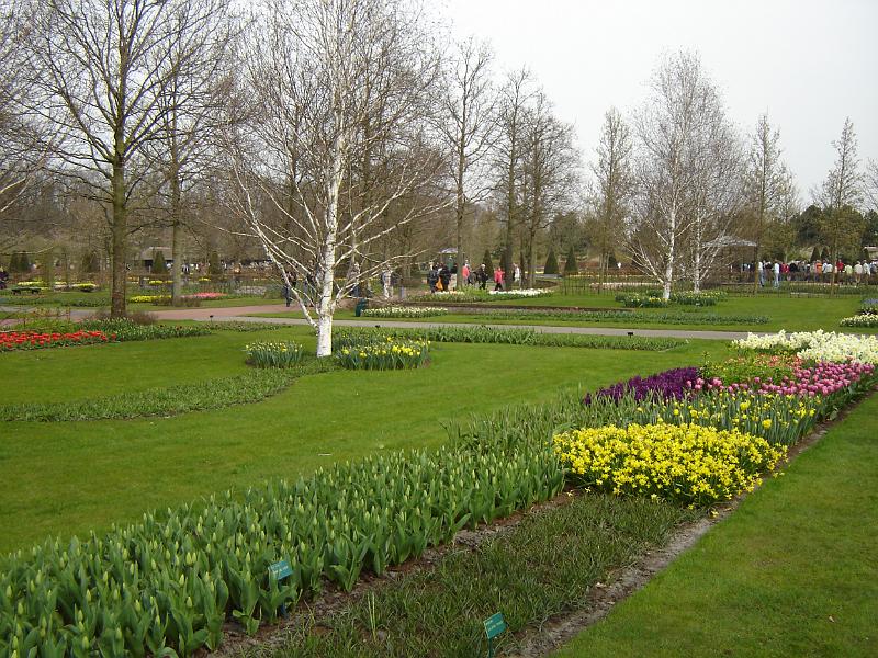 DSC00928.JPG