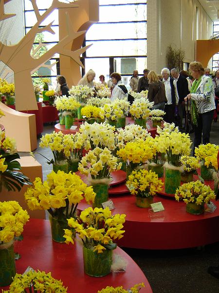 DSC00959.JPG