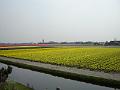 DSC00934