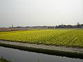 DSC00935