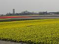 DSC00936