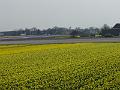 DSC00937