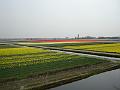 DSC00938