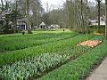 DSC00956