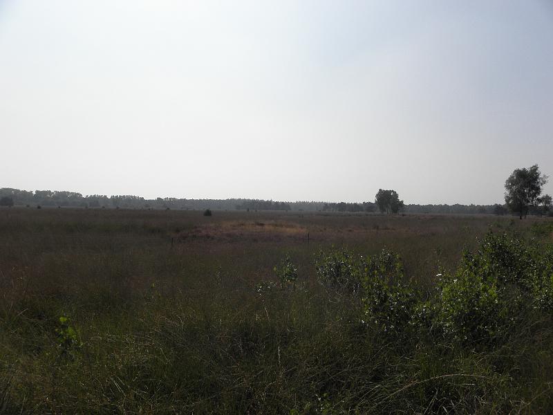 P9040161.JPG
