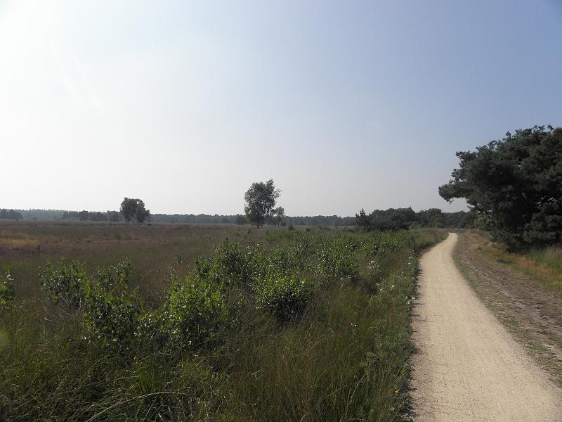 P9040162.JPG