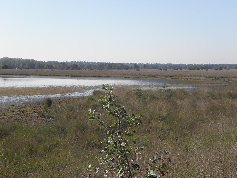 P9050164.JPG