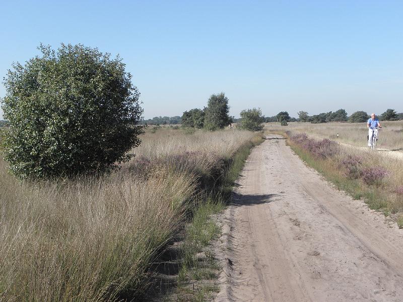 P9050167.JPG