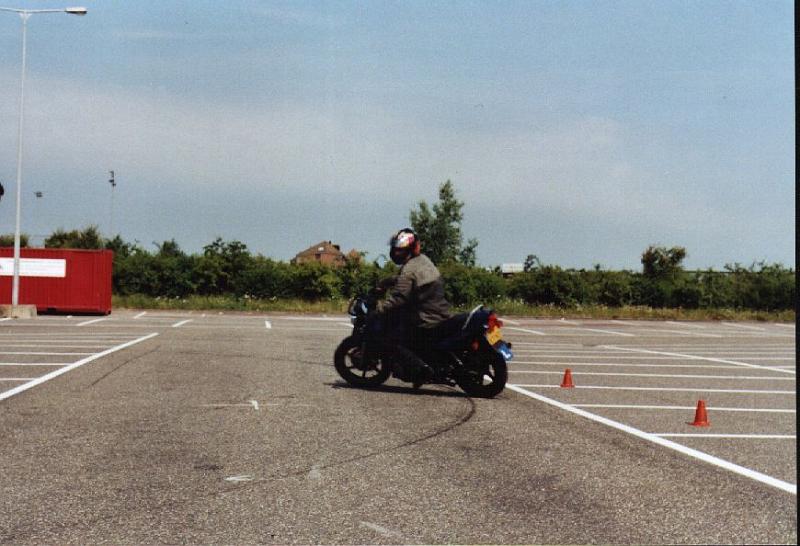 ml11.jpg