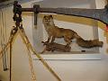 P5021975