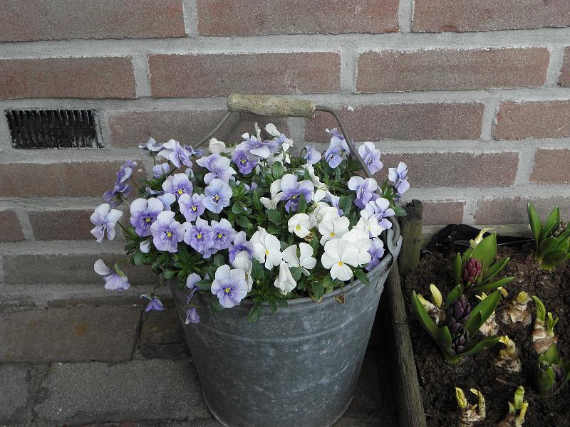 P4100011.JPG