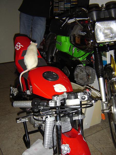 DSC00864.JPG