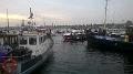 WP_20150819_09_45_04_Pro