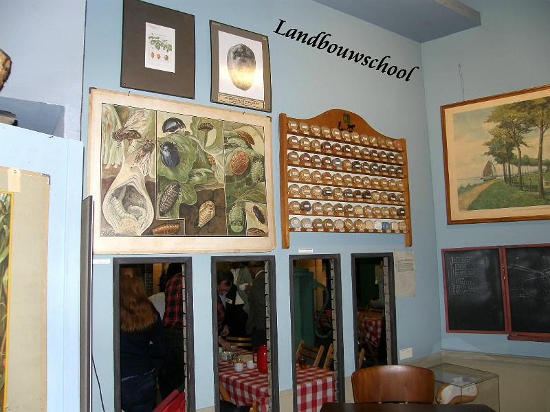 F038.JPG